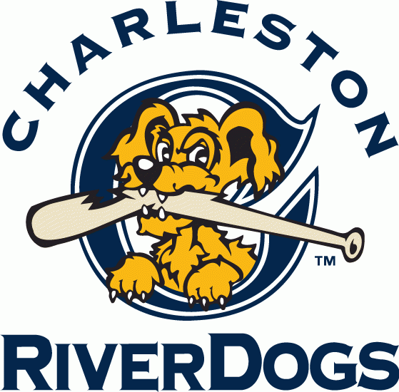Charleston Riverdogs 2011-2015 Primary Logo iron on heat transfer